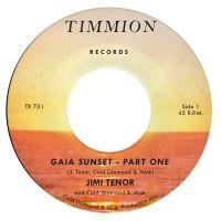 Jimi Tenor & Cold Diamond & Mink - Gaia Sunset i gruppen VINYL / RnB-Soul hos Bengans Skivbutik AB (5539928)