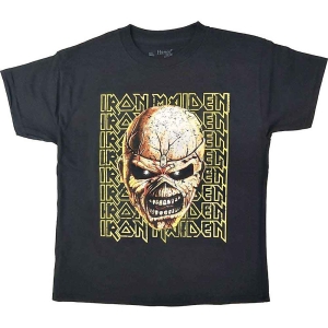 Iron Maiden - Big Trooper Head Boys T-Shirt Bl i gruppen MERCHANDISE / Merch / Metal hos Bengans Skivbutik AB (5548728r)