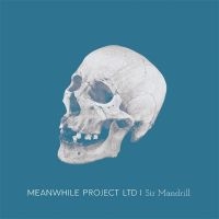 Meanwhile Project Ltd - Sir Mandrill i gruppen VINYL / Pop-Rock hos Bengans Skivbutik AB (5548970)