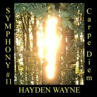 Hayden Wayne - Symphony #11: Carpe Diem i gruppen VI TIPSER / Fredagsutgivelser / Fredag den 7:e Juni 2024 hos Bengans Skivbutik AB (5549782)