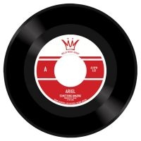 Ariel - Something Amazing i gruppen VINYL / Pop-Rock hos Bengans Skivbutik AB (5550130)