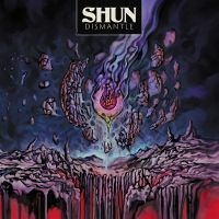 Shun - Dismantle i gruppen CD / Pop-Rock hos Bengans Skivbutik AB (5555824)