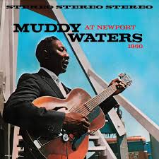 Muddy Waters - Muddy Waters At Newport i gruppen VINYL / Blues hos Bengans Skivbutik AB (5555909)