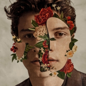 Shawn Mendes  - The Album i gruppen Minishops / Shawn Mendes hos Bengans Skivbutik AB (5556120)