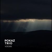 Pokaz Trio - Voices i gruppen VI TIPSER / Fredagsutgivelser / Fredag den 2:e augusti hos Bengans Skivbutik AB (5556506)