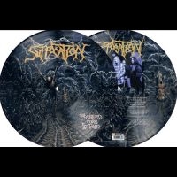 Suffocation - Pierced From Within i gruppen VI TIPSER / Fredagsutgivelser / Fredag den 9:e augusti hos Bengans Skivbutik AB (5557152)