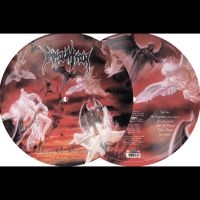 Immolation - Dawn Of Possession i gruppen VI TIPSER / Fredagsutgivelser / Fredag den 9:e augusti hos Bengans Skivbutik AB (5557153)