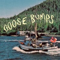 Boyscott - Goose Bumps (Green & Blonde Swirl V i gruppen VI TIPSER / Fredagsutgivelser / Fredag den 30:e augusti 2024 hos Bengans Skivbutik AB (5557918)