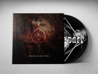 Deadspace - Unveiling The Palest Truth (Vinyl L i gruppen VINYL / Metal hos Bengans Skivbutik AB (5558008)