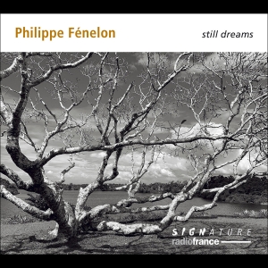 Philippe Fénelon - Still Dreams i gruppen VI TIPSER / Fredagsutgivelser / Fredag den 23:e augusti hos Bengans Skivbutik AB (5558110)