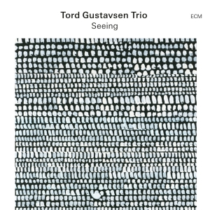 Tord Gustavsen Trio - Seeing i gruppen VI TIPSER / Fredagsutgivelser / Fredag den 4:e oktober 2024 hos Bengans Skivbutik AB (5558451)