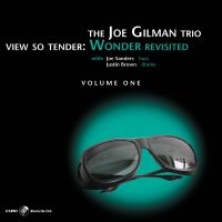 Joe Gilman - View So Tender: Wonder Revisited Vo i gruppen CD / Jazz hos Bengans Skivbutik AB (5559087)