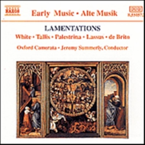 Various - Lamentations i gruppen Externt_Lager / Naxoslager hos Bengans Skivbutik AB (556034)