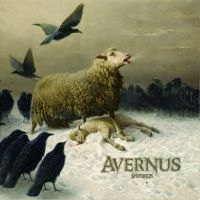 Avernus - Grievances (2 Lp Coloured Vinyl Lp) i gruppen VI TIPSER / Fredagsutgivelser / Fredag den 20:e september 2024 hos Bengans Skivbutik AB (5560618)