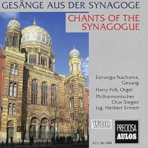 Louis Lewandowski Salomon Sulzer - Chants Of The Synagogue i gruppen VI TIPSER / Julegavetips CD hos Bengans Skivbutik AB (5561042)