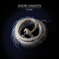 Snow Ghosts - Husk (Clear Vinyl) i gruppen VINYL / Pop-Rock hos Bengans Skivbutik AB (5561048)