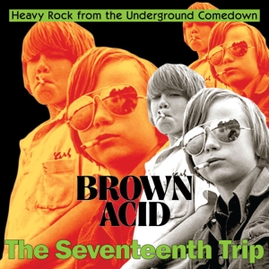 Various Artists - Brown Acid: The 17Th Trip i gruppen VINYL / Pop-Rock hos Bengans Skivbutik AB (5562724)