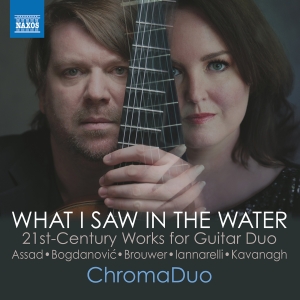 Chromaduo - What I Saw In The Water i gruppen VI TIPSER / Fredagsutgivelser / Fredag den 11:e oktober 2024 hos Bengans Skivbutik AB (5563083)