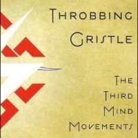 Throbbing Gristle - The Third Mind Movements i gruppen VI TIPSER / Hjem - Vinyl Nyheter & Kommende hos Bengans Skivbutik AB (5563607)