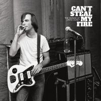 Various Artists - Can't Steal My Fire: The Songs Of D i gruppen VI TIPSER / Fredagsutgivelser /  hos Bengans Skivbutik AB (5563961)