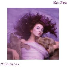 Kate Bush - Hounds Of Love i gruppen VINYL / Pop-Rock hos Bengans Skivbutik AB (5564020)