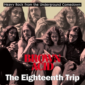 Various Artists -  Brown Acid: The 18Th Trip i gruppen VINYL / Metal hos Bengans Skivbutik AB (5565676)