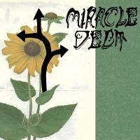 Miracle Debt - Under The Shadow i gruppen VI TIPSER / Fredagsutgivelser / Fredag 8 november 2024 hos Bengans Skivbutik AB (5565841)