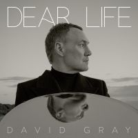 David Gray - Dear Life i gruppen Annet /  hos Bengans Skivbutik AB (5565975)