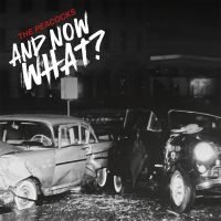 Peacocks The - And Now What? (Coloured Vinyl Lp) i gruppen Annet /  hos Bengans Skivbutik AB (5566784)