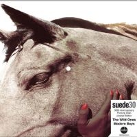 Suede - The Wild Ones (30Th Anniversary Edi i gruppen VI TIPSER / Fredagsutgivelser / Fredag 8 november 2024 hos Bengans Skivbutik AB (5567988)