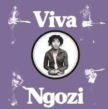 Paul  Ngozi - Viva Ngozi (Opaque Orange Vinyl) (Rsd) i gruppen Annet /  hos Bengans Skivbutik AB (5568345)