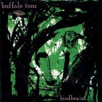 Buffalo Tom - Birdbrain i gruppen VI TIPSER / Fredagsutgivelser / Fredag 8 november 2024 hos Bengans Skivbutik AB (5569207)