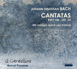 Il Gardellino - J. S. Bach - Cantatas Bwv 146, 103, i gruppen VI TIPSER / Julegavetips CD hos Bengans Skivbutik AB (5571438)