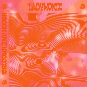 Ladymonix - Welcome 2 My House i gruppen VINYL / Elektroniskt hos Bengans Skivbutik AB (5571804)