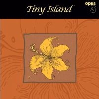 Tiny Island - Tiny Island i gruppen VINYL / Nyheter / Blues hos Bengans Skivbutik AB (5571951)