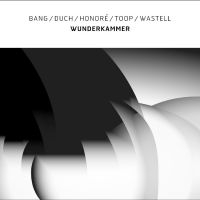 Bang / Duch / Honoré / Toop / Waste - Wunderkammer i gruppen VINYL / Kommende / Jazz hos Bengans Skivbutik AB (5572219)