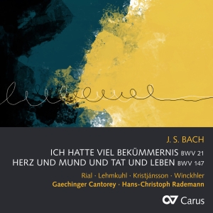 Johann Sebastian Bach - Johann Sebastian Bach : Ich Hatte V i gruppen CD / Klassisk hos Bengans Skivbutik AB (5572329)