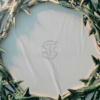 Stinky - Solace (Green Marbled Vinyl Lp) i gruppen VI TIPSER / Fredagsutgivelser / 2025-02-21 hos Bengans Skivbutik AB (5572497)