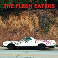 Flesh Eaters The - I Used To Be Pretty i gruppen Pop-Rock hos Bengans Skivbutik AB (5572612)