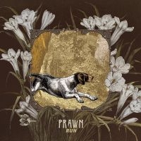 Prawn - Run i gruppen Pop-Rock hos Bengans Skivbutik AB (5572663)