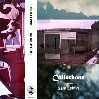 Leidig Sam - Collarbone i gruppen Pop-Rock hos Bengans Skivbutik AB (5572706)