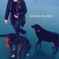 Bazan David - Blanco i gruppen Pop-Rock hos Bengans Skivbutik AB (5572727)