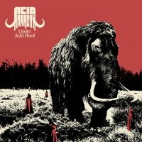 Acid Mammoth - Under Acid Hoof i gruppen VINYL / Pop-Rock hos Bengans Skivbutik AB (5572963)