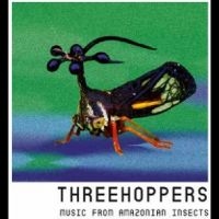 Threehoppers - Threehoppers i gruppen CD / Kommende / Pop-Rock hos Bengans Skivbutik AB (5573363)