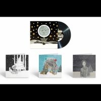 Wilson Steven - December Skies i gruppen VINYL / Kommende / Pop-Rock hos Bengans Skivbutik AB (5573504)