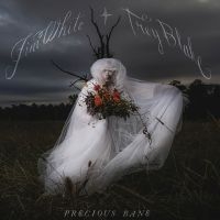 Jim White - Precious Bane i gruppen VINYL / Kommende / Pop-Rock hos Bengans Skivbutik AB (5573506)