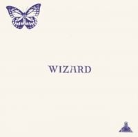 Wizard - Wizard i gruppen VI TIPSER / Hjem - Vinyl Nyheter & Kommende hos Bengans Skivbutik AB (5573585)