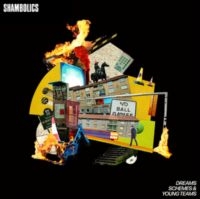 Shambolics - Dreams, Schemes & Young Teams i gruppen CD / Pop-Rock hos Bengans Skivbutik AB (5573607)