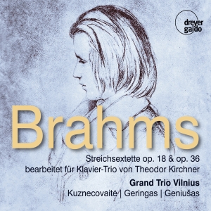 Grand Trio Vilnius - Johannes Brahms: String Sextets Opp i gruppen VI TIPSER / Julegavetips CD hos Bengans Skivbutik AB (5573902)