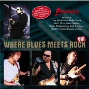 Various Artists - Where Blues Meets Rock Viii i gruppen CD / Jazz,Pop-Rock hos Bengans Skivbutik AB (557438)